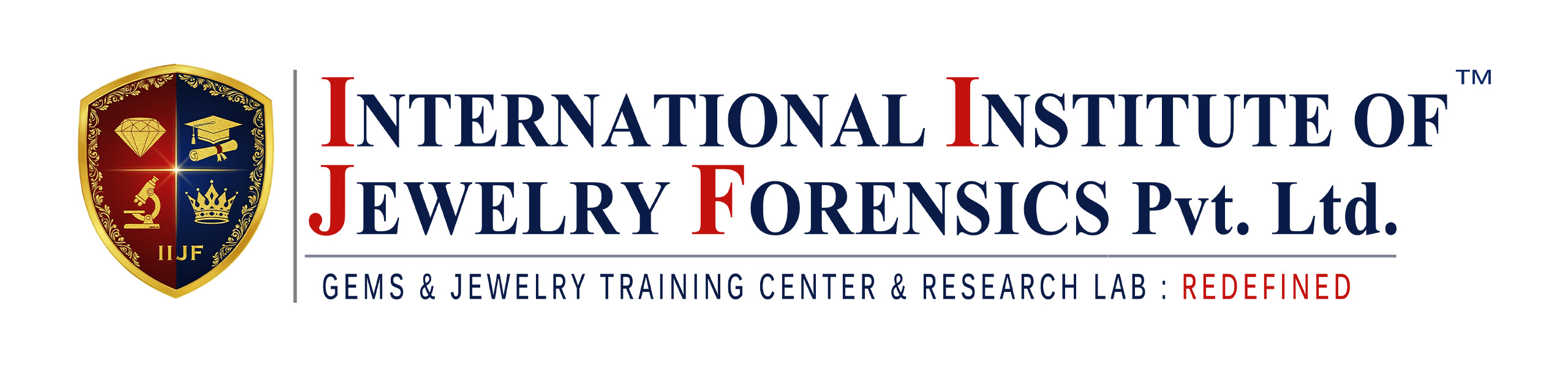 IIJF-Global-Updated-Logo